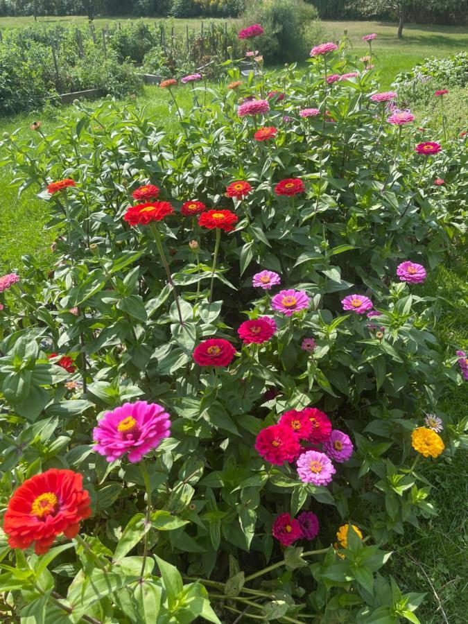 North Hero Dodds Brick House Bed & Breakfast מראה חיצוני תמונה